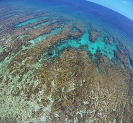 Some beautiful coral spur and grooves, where the reef flat meets the open ocean, captured by the kite.