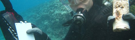 Steph Duce showing a coral core underwater in Tahiti