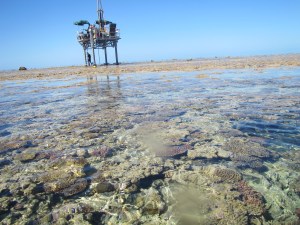 The jack-up drilling platform sitting proudly on the windward reef flat at Heron. The platform was designed and built by Dr Trevor Graham and his team at GeoCoastal consulting.