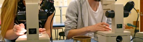 Allison and Tommy looking into the microscopes searching for foraminifera
