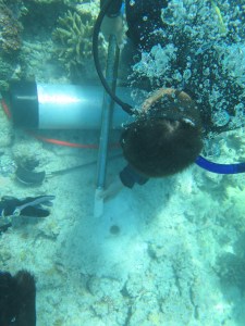 James delivering a nice peice of core.