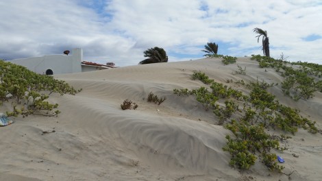 Houses built on dunes in Estero- Southern Ensenada Bay.