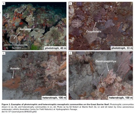 Source: Bridge, T., Beaman, R., Done, T., and Webster, J., 2012, Predicting the Location and Spatial Extent of Submerged Coral Reef Habitat in the Great Barrier Reef World Heritage Area, Australia: Plos One, v. 7, no. 10, p. e48203.