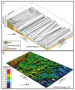 After McNeil, M. A., Webster, J. M., Beaman, R. J., and Graham, T. L., 2016, New constraints on the spatial distribution and morphology of the Halimeda bioherms of the Great Barrier Reef, Australia: Coral Reefs.