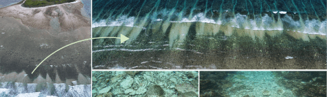 Graphical abstract showing fans of rubble delivered onto the reef flat. The insets show accumulation of rubble underwater in the grooves.
