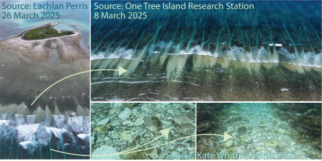 Graphical abstract showing fans of rubble delivered onto the reef flat. The insets show accumulation of rubble underwater in the grooves.